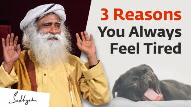 Food & Breathing Tips For High Energy Levels | Sadhguru