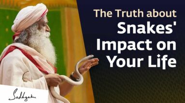 Serpent Science - The Truth about Snakes' Impact on Your Life | Sadhguru Exclusive #NagaDosha