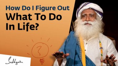 How Do I Figure Out What To Do In Life? | Sadhguru Answers