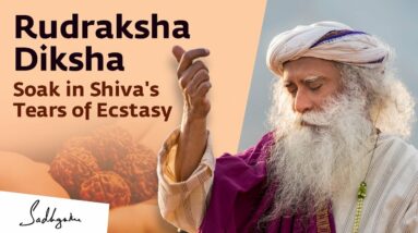 Rudraksha Diksha - An Initiation with Sadhguru - Online | January 3, 2022