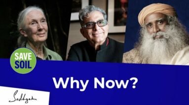 #SaveSoil: Why Now? | Sadhguru