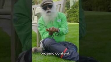 Elisabeth Winkelmeier-Becker (Member of the German Bundestag) Meets Sadhguru in Bonn #shorts