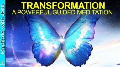 Powerful Guided Meditation For Transformation. Become The Butterfly! Change Your Life.