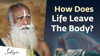 How Does Life Leave The Body?