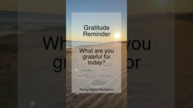 Gratitude Reminder | What are you grateful for today? | Gratitude | Shorts | Thankful