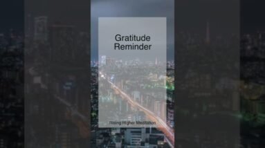 Daily Gratitude | What are you grateful for today? | Gratitude | Shorts | Gratitude Reminder