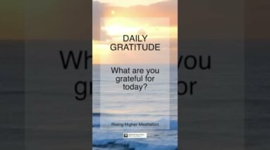 Daily Gratitude Reminder | What are you grateful for today? | Gratitude | Shorts
