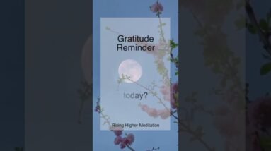 Gratitude Reminder | What are three things you are grateful for today? | Gratitude | Shorts
