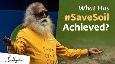 What Has the #SaveSoil Movement Achieved in the Last Year?