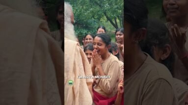 Students of Isha Samskriti Monkeying Around with Sadhguru