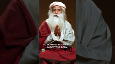 How To Activate Your Entire Body In The Morning - Start Your Day Right - Part 2
