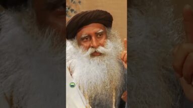 Sadhguru Meets the New Puppies at Isha Yoga Center #Throwback 2014