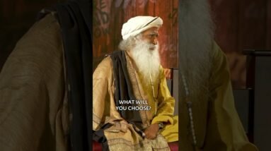 The Two Ways To Live
