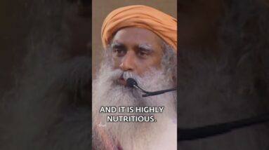 The Ultimate Nutritious Shake