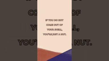 If You Don’t Get Out Of Your Shell…