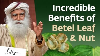 Incredible Benefits of Betel Leaf & Nut | Sadhguru