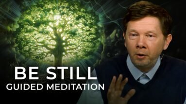 The Power of Presence: A Guided Meditation | Eckhart Tolle