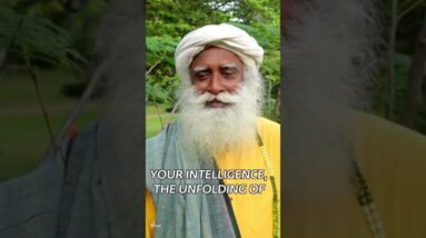 What is Love? | Sadhguru