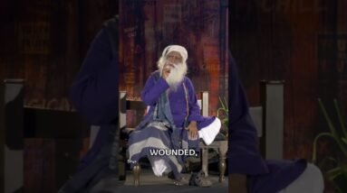 Wounded or Wise - It’s Your Choice