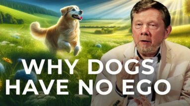 Eckhart Tolle on Dogs: A Life Beyond Ego
