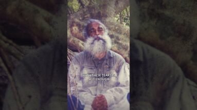 Soak in Ecstasy of Enlightenment with Sadhguru