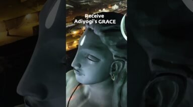 In the Grace of Yoga in Sadhguru’s Presence During Mahashivratri | 4-9 Mar 2024 at Isha Yoga Center