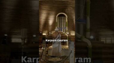 A Special Pancha Bhuta Kriya with Sadhguru in the Presence of Dhyanalinga | 8 Mar 2024