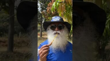 Sadhguru's Unique Immunity Boosting Formula