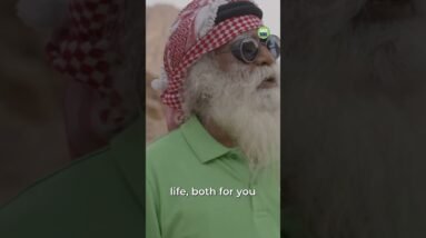 "Your Mind Is Your Making. Don't Make a Desert Out of It. | Sadhguru