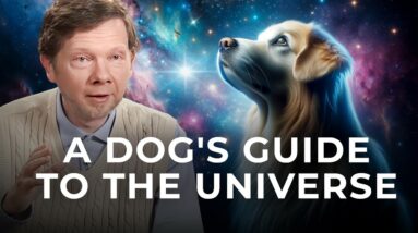 Unlocking Joy and Presence: The Spiritual Gifts of Your Dog | Eckhart Tolle