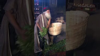 Sadhguru Consecrates 5 Million Rudraksha Beads on Mahashivratri